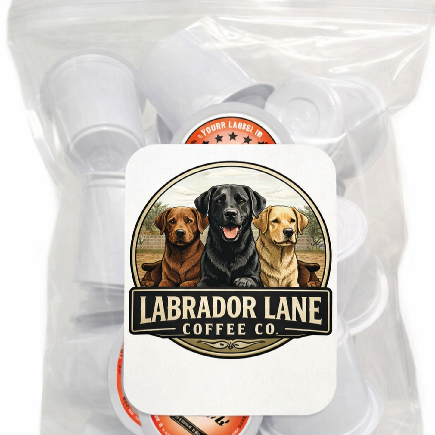 Mexico Coffee Pods (12 Pack)